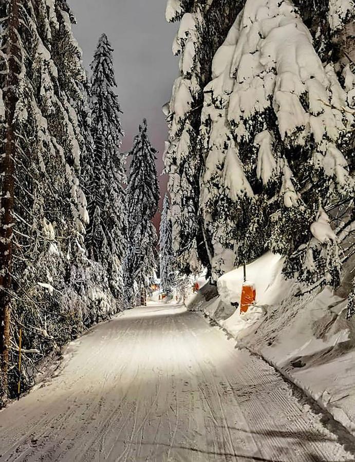 Wolf Apartments Jahorina Exterior foto